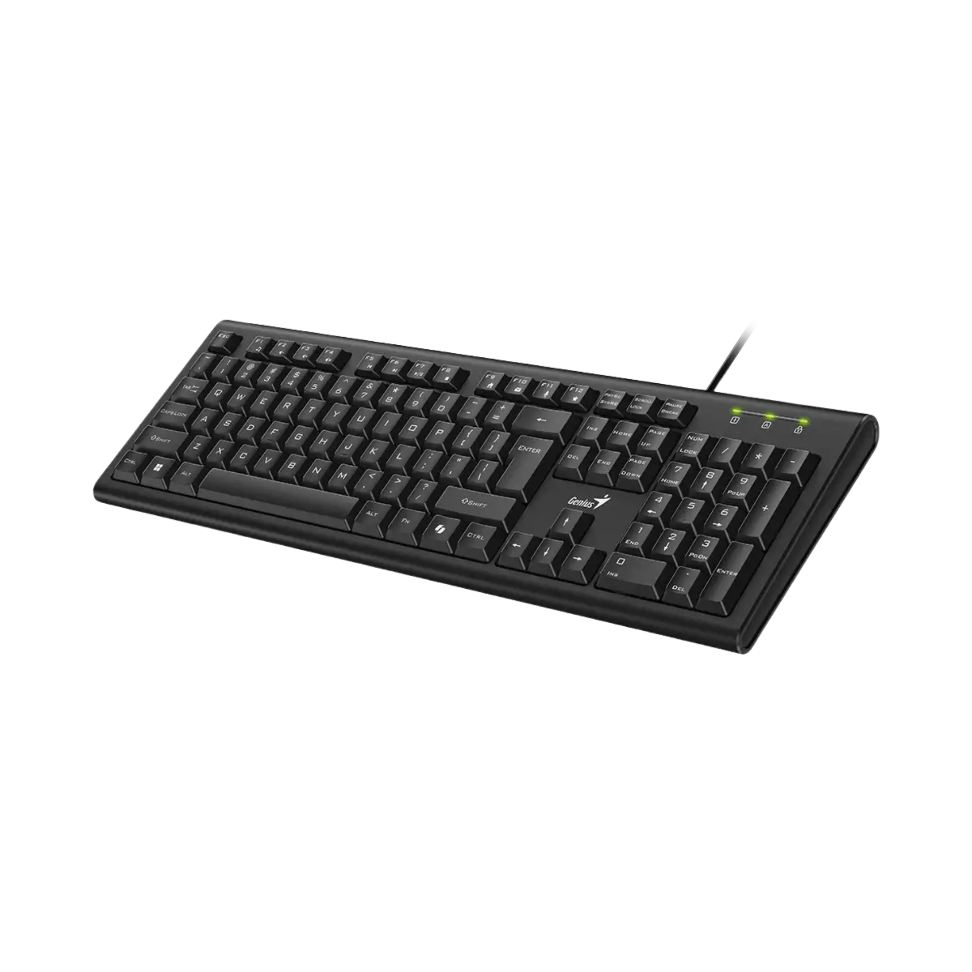 Teclado USB GENIUS KB-113 Español Black
